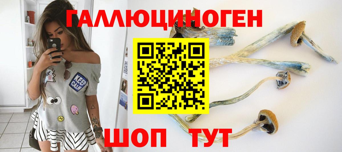 Похвистнево  Галлюциногенные грибы Magic Shrooms  Вход с VPN  Галлюциногенные грибы Psilocybine cubensis 
